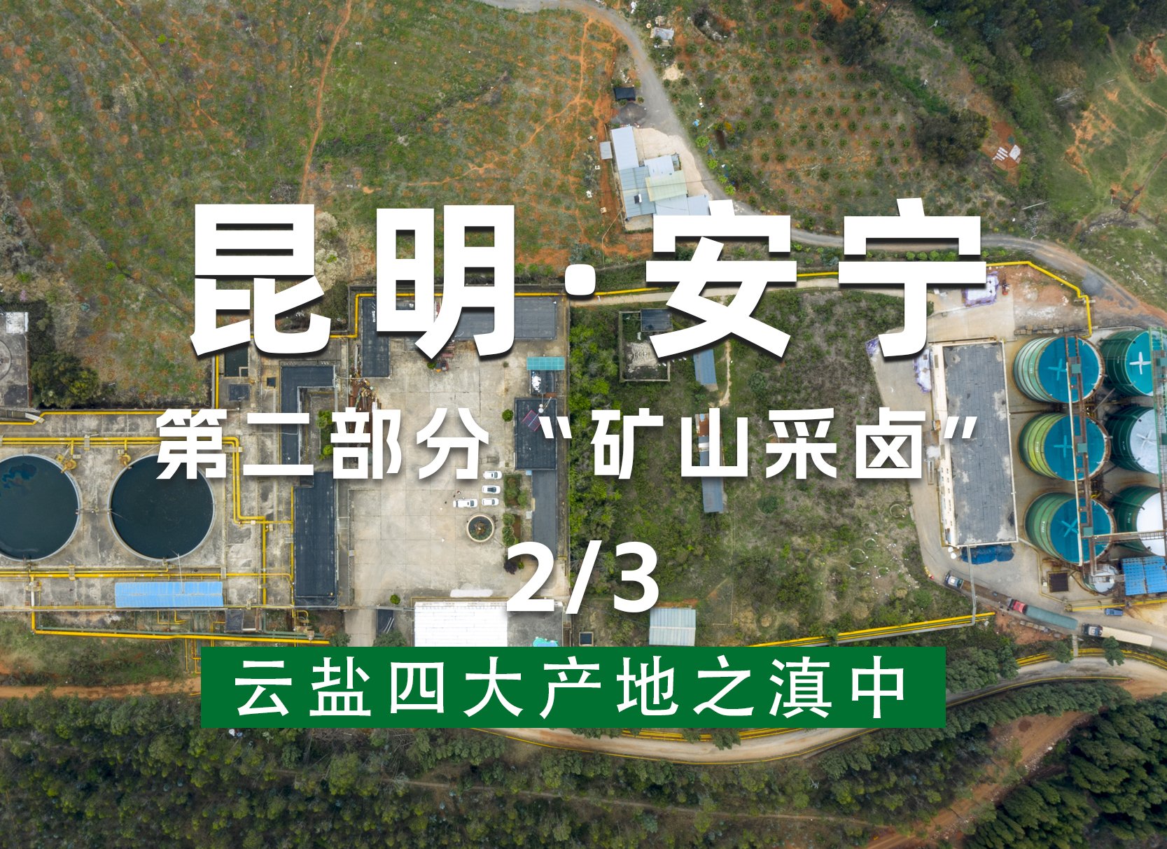 品牌及产品
